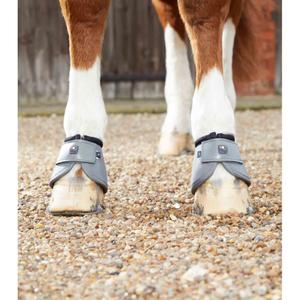 product/p/r/premier-equine_1022sg_3.jpg