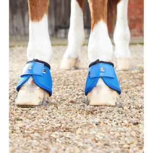 product/p/r/premier-equine_1022srb_3.jpg