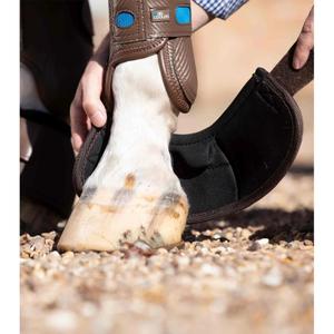 product/p/r/premier-equine_1022xxlbrw_2.jpg