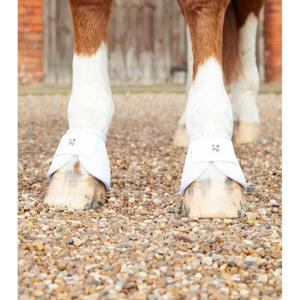 product/p/r/premier-equine_1022xxlw_3.jpg