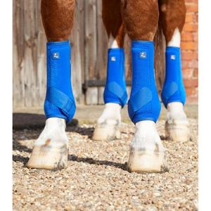 1029xlblu-guetres-pour-cheval-premier-equine-air-tech-sports-medecine-royal-blue