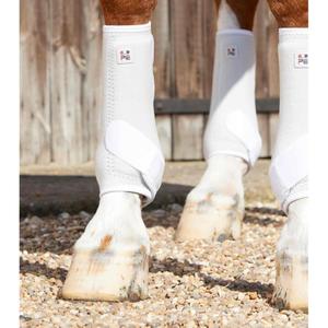 product/p/r/premier-equine_1029xlw_3.jpg