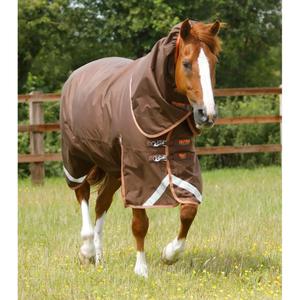 product/p/r/premier-equine_200550brw_1.jpg