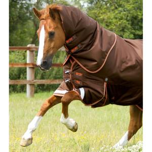 product/p/r/premier-equine_200550brw_2.jpg