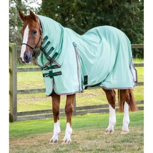 207756gre-couverture-anti-mouche-en-mesh-avec-couvre-cou-premier-equine-combo-mint-green