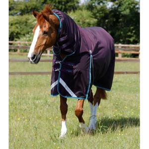 product/p/r/premier-equine_217150prp_purple_1.jpg