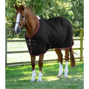 product/p/r/premier-equine_2222-50b_0.jpg