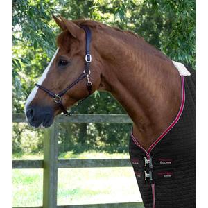 product/p/r/premier-equine_2222-50b_1.jpg