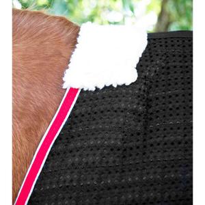 product/p/r/premier-equine_2222-50b_2.jpg