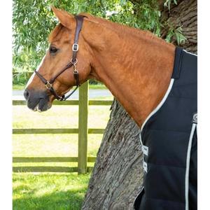 product/p/r/premier-equine_223850b_4.jpg