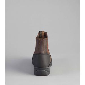 product/p/r/premier-equine_550912brw_1.jpg