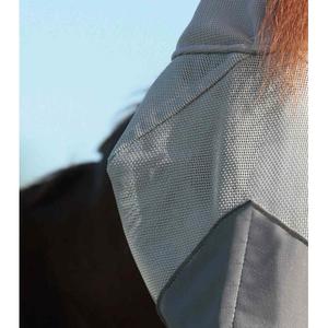 product/p/r/premier-equine_6019l_silver_2.jpg