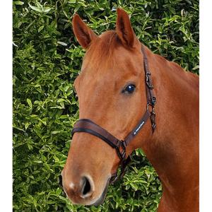 product/p/r/premier-equine_6150cbrw_brown_6.jpg