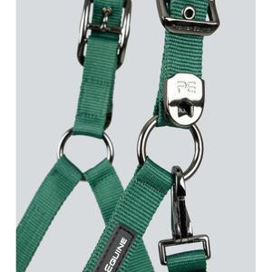 product/p/r/premier-equine_6150cgrn_green_3.jpg