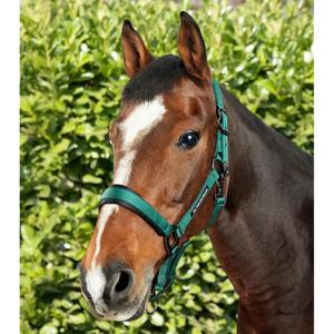product/p/r/premier-equine_6150cgrn_green_6.jpg