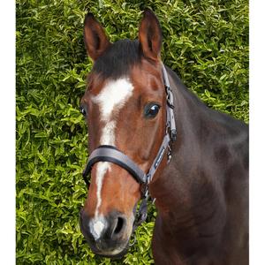 product/p/r/premier-equine_6150cgry_grey_6.jpg