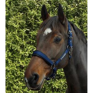 product/p/r/premier-equine_6150cnvy_navy_6.jpg