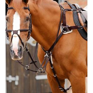 8037-c-8037-f-collier-de-chasse-pour-cheval-5-points-premier-equine-invorio-dark-brown
