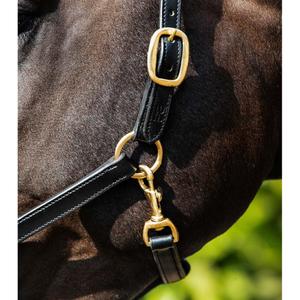 product/p/r/premier-equine_8099-cblk_2.jpg