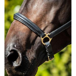 product/p/r/premier-equine_8099-cblk_3.jpg