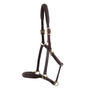 8099-c-8099-xf-licol-pour-cheval-rembourre-cuir-premier-equine-brown