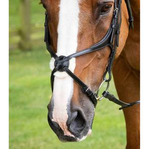 product/p/r/premier-equine_8100pblk_1.jpg