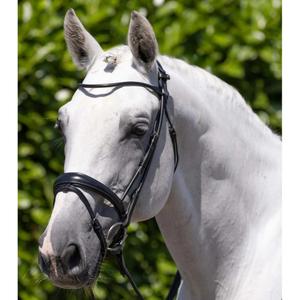 product/p/r/premier-equine_8123cblk_black_5.jpg