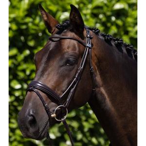 product/p/r/premier-equine_8123cbrw_brown_1.jpg