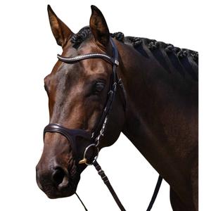8127cbrw-bride-equitation-premier-equine-san-paolo-brown