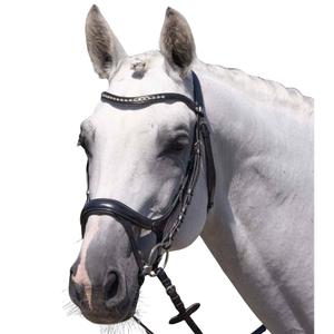 product/p/r/premier-equine_8128cblk_black_1.jpg