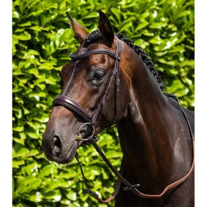 product/p/r/premier-equine_8131cbrw_1.jpg