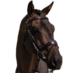 8139cbrw-bridon-equitation-premier-equine-artana-brown