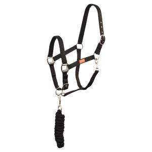 432258-b001-8-ensemble-licol-et-longe-pour-cheval-premiere-equitation-noir