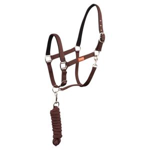 432258-r100-8-ensemble-licol-et-longe-pour-cheval-premiere-equitation-zinfandel
