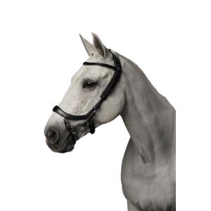 p700-zw-bridons-equitation-presteq-faysport-noir