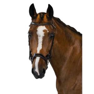 1210-014-850-bridon-equitation-ps-of-sweden-pioneer-brown-leather