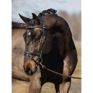 1210-015-995-bridon-equitation-ps-of-sweden-stockholm-black-leather