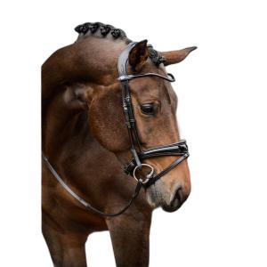 1210-020-996-bridon-equitation-ps-of-sweden-gp-black-lacquer