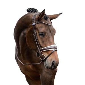 1210-021-852-bridon-equitation-ps-of-sweden-gp-brown-white