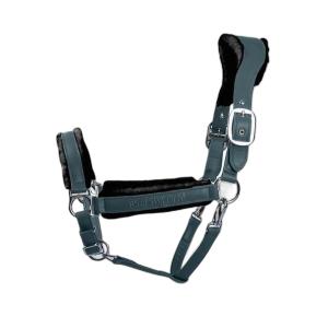 1310-008-685-licol-pour-cheval-en-cuir-ps-of-sweden-premium-midnight-green