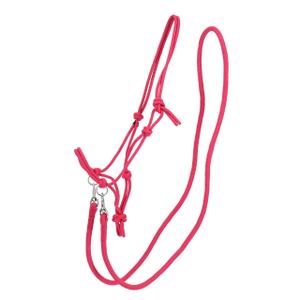 product/q/-/q-essentials_1195-fu_fuchsia_2.jpg