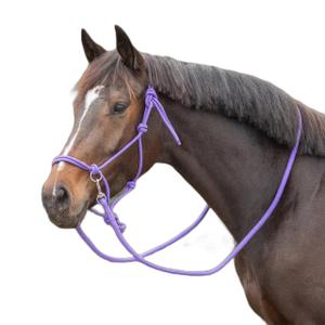 1195-pf-licol-en-corde-avec-renes-q-essentials-color-passion-flower