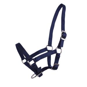 1047-db-licol-pour-poulain-q-essentials-bleu-fonce