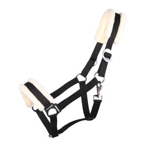 1126-zw-licol-q-essentials-cali-black