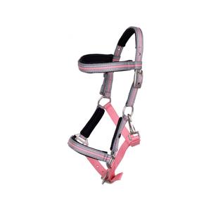 1164-fp-licol-pour-poulain-avec-frontal-qhp-flamingo-pink
