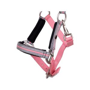 product/q/h/qhp_1164-fp_flamingo-pink_3.jpg