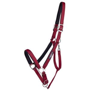 1179-bo-licol-pour-cheval-de-trait-qhp-deluxe-bordeaux-xxfull