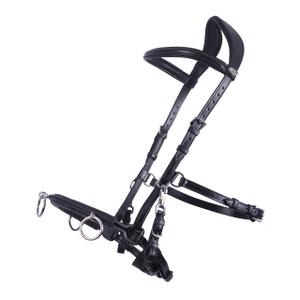 1699-zw-cavecon-pour-cheval-en-cuir-qhp-black