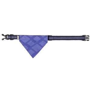 product/q/h/qhp_5562-psu_purple-sunset_2.jpg