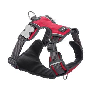 f8242-dh-ph-re-xl-harnais-rembourre-pour-chien-red-dingo-rouge-xl